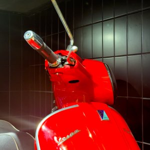 VespaBraehead20250305-2.jpg