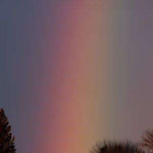 IMG_1737.jpg