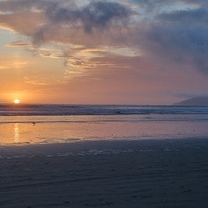 DSC_1065.jpg
