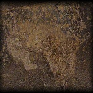 floor tile dog xv.jpg