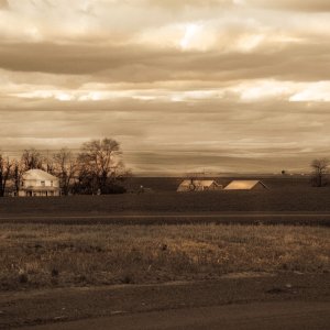 sepiafarm - 1.jpeg