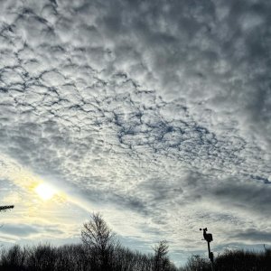 IMG_0298.jpeg