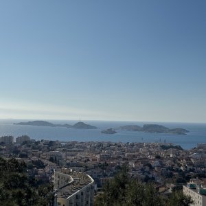 IMG_3521.jpeg