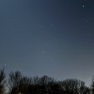IMG_0528.jpeg