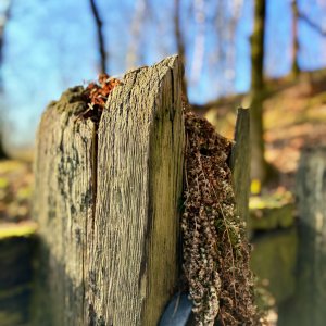 ReLens_IMG_20250310092951.jpeg