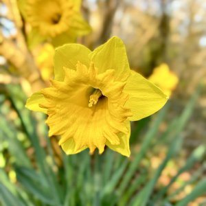 IMG_0450.jpeg