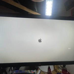 IMG_9411.jpeg