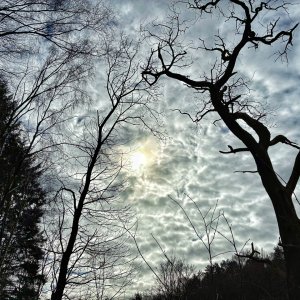 IMG_0629.jpeg