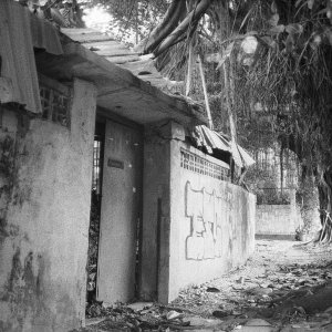 Image 7.jpg