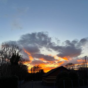IMG_0660.jpeg