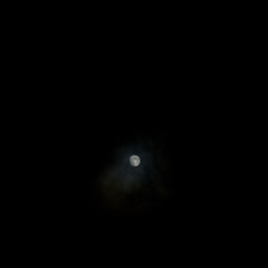 IMG_9785.jpeg