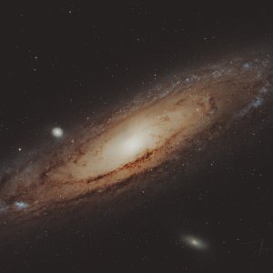 Starry4DN.jpeg