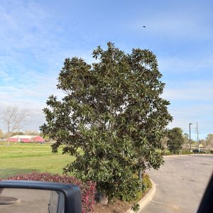 IMG_5073.jpeg