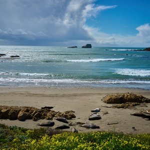 DSC_1171.jpg