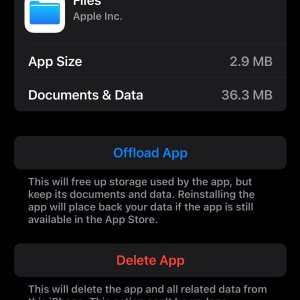 Files local_1.jpg
