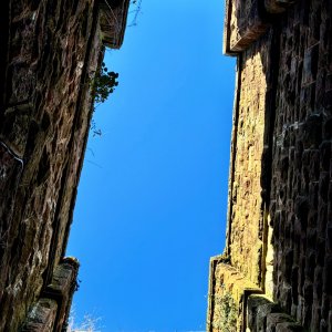 IMG_0731.jpeg