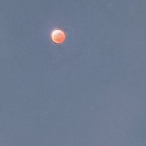IMG_8011.jpeg