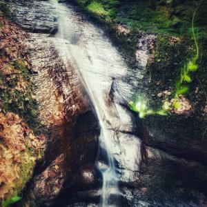IMG_0825.jpeg
