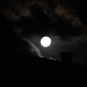 DSC_0102.jpeg