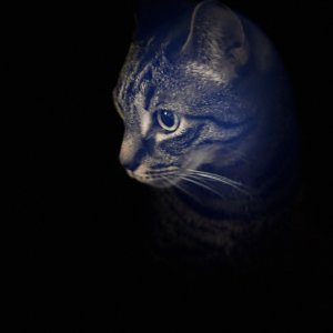 A5166C1B-35E7-40DE-89DF-A67EB5B73115.jpeg