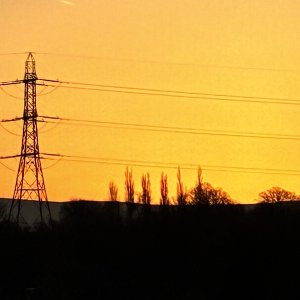 IMG_0906.jpeg