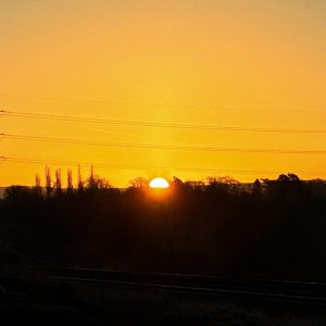 IMG_0913.jpeg
