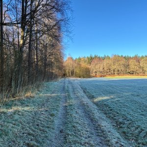 IMG_0936.jpeg