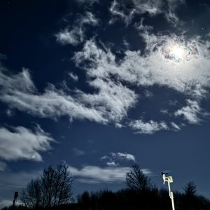 IMG_0729.jpeg