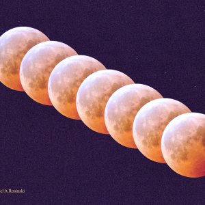 Star Trails Full 60sec.jpeg