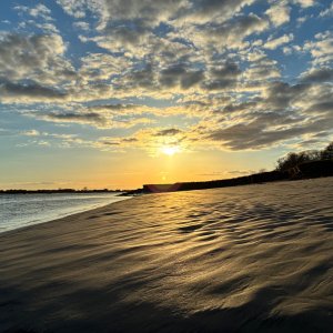 IMG_0979.jpeg