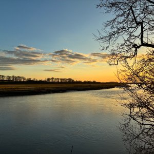 IMG_0990.jpeg
