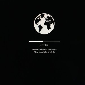 IMG_8288.jpeg