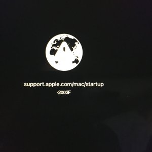IMG_8286.jpeg