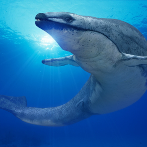 Promo_Basilosaurus.png