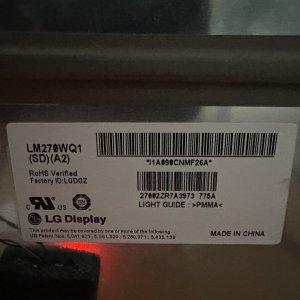 IMG_2384.jpeg