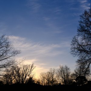 DSCF1175.jpg