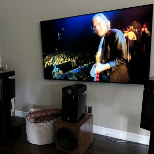 Pink Floyd Delicate Sound of Thunder_2227_1000p.jpg