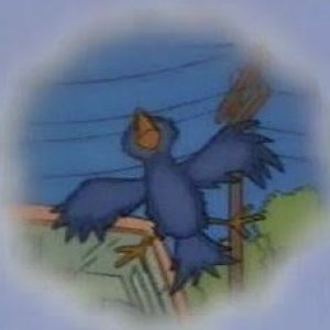 IMG_5614.jpeg