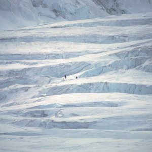 Denali_04_0008a.jpg