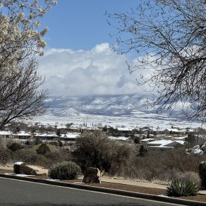 IMG_6200.jpeg