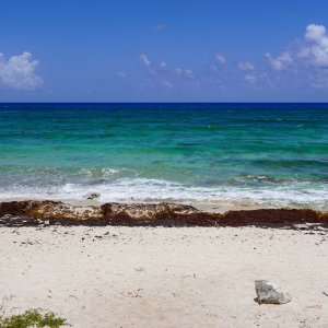 Caribbean.jpg