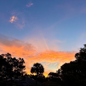 IMG_0910.jpeg