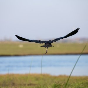 IMG_9958.jpg