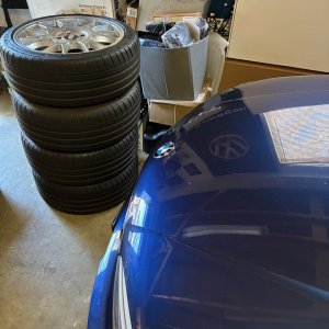 IMG_0599.jpeg