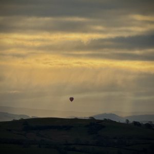 IMG_1310.jpeg