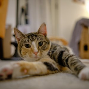 DSCF1252.jpg