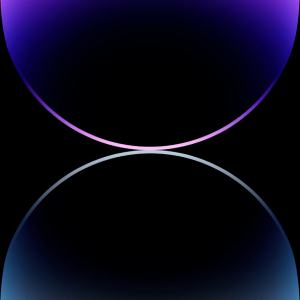 IMG_6241.png