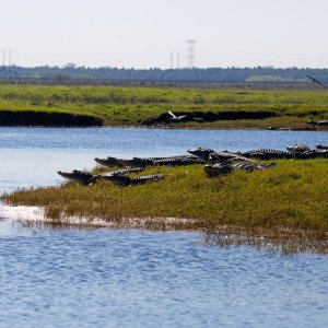 IMG_9930.jpg