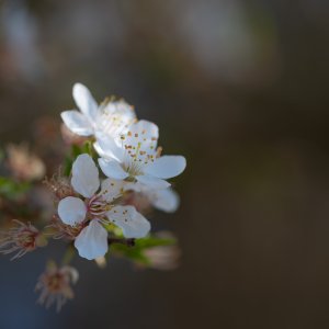 _Z634213.jpg