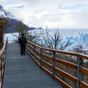 Peroito Moreno Glacier.jpg